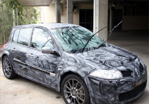 Automotive paint protection